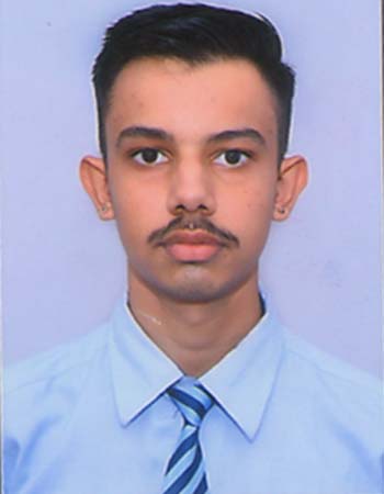 Dixit result portrait